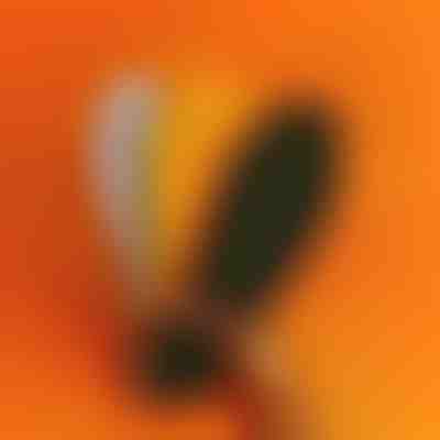 Ortopedické vložky s masážnymi bodmi | STEPEASE