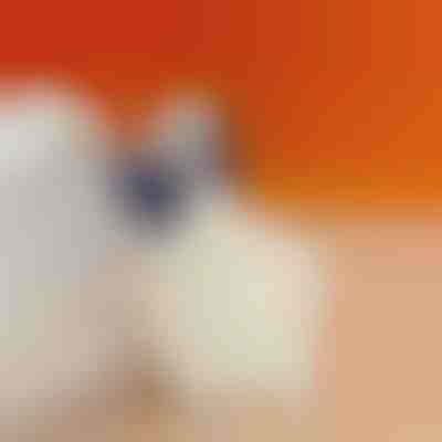 Vankúšik na pätu na zmiernenie bolesti päty | STEPHEEL